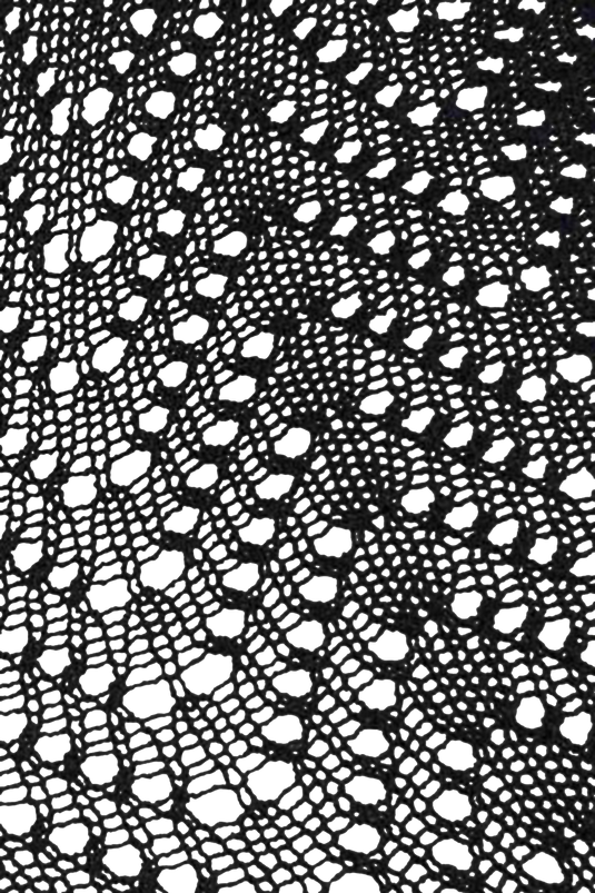 _06 - NAVY 555