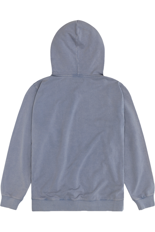 Herren Hoodie mit Aloisius-Druck