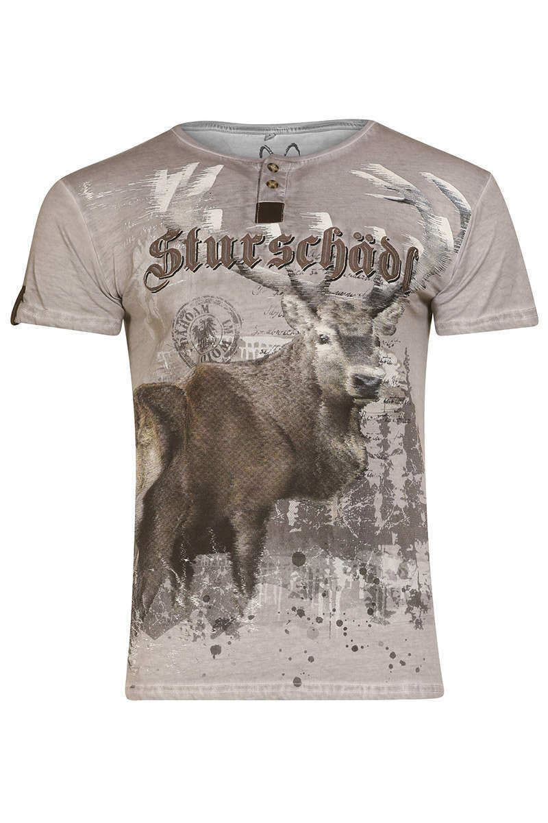 Herren Trachten T-Shirt 'Sturschdl' grau