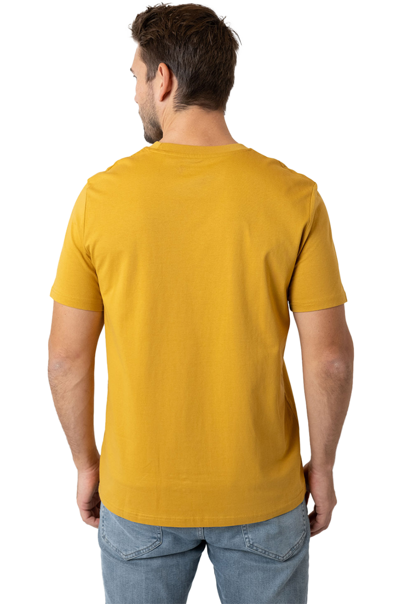 Herren T-Shirt 'Expresslieferdienst' ocker Bild 2