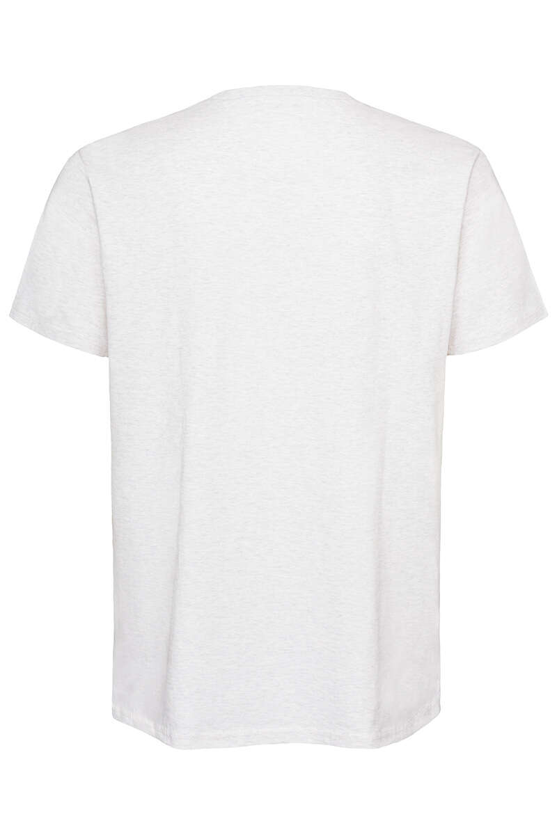 Herren T-Shirt EXPRESS-LIEFERDIENST beige Bild 2