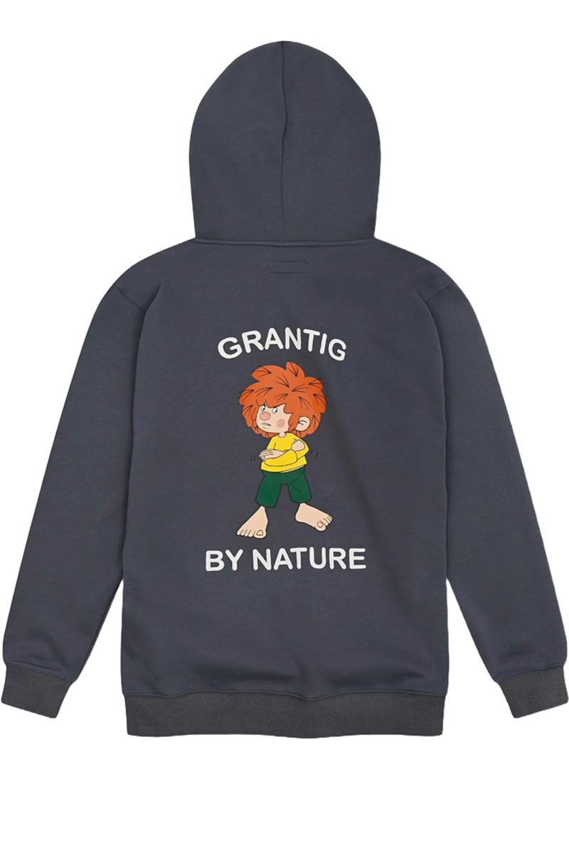 Herren Hoodie Pumuckl 'Grantig by nature' graublau Bild 2