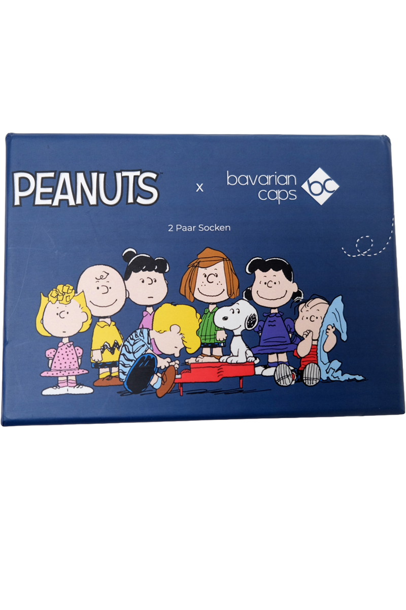 Sockenbox 'Peanuts' 2 Paar bunt