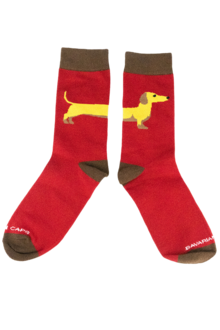 UNISEX 2 Paar Socken in Sockenbox mit Dackeln trkis und rot