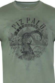 Herren T-Shirt 'Ostpfeiler' grasgrn