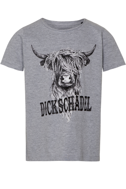 Kinder T-Shirt mit 'Dickschdel' grau