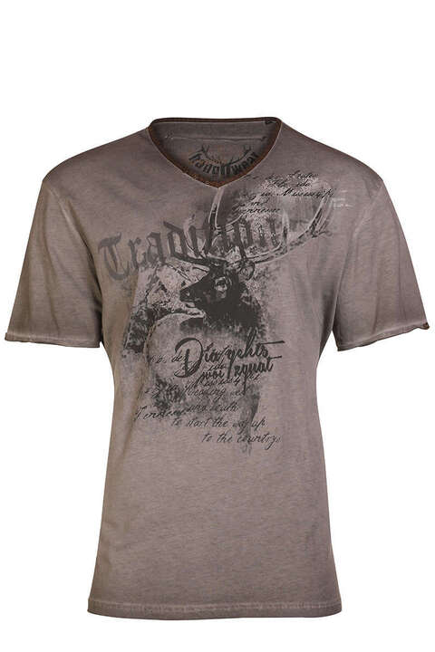 Herren Trachten T-Shirt 'Dia gehts woi zguat' braun