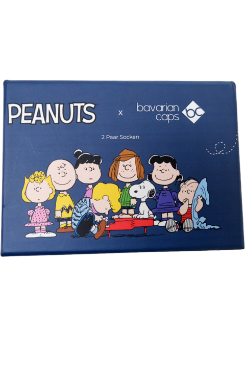 Sockenbox 'Peanuts' 2 Paar bunt