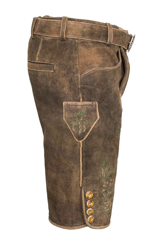 _60-BRAUN