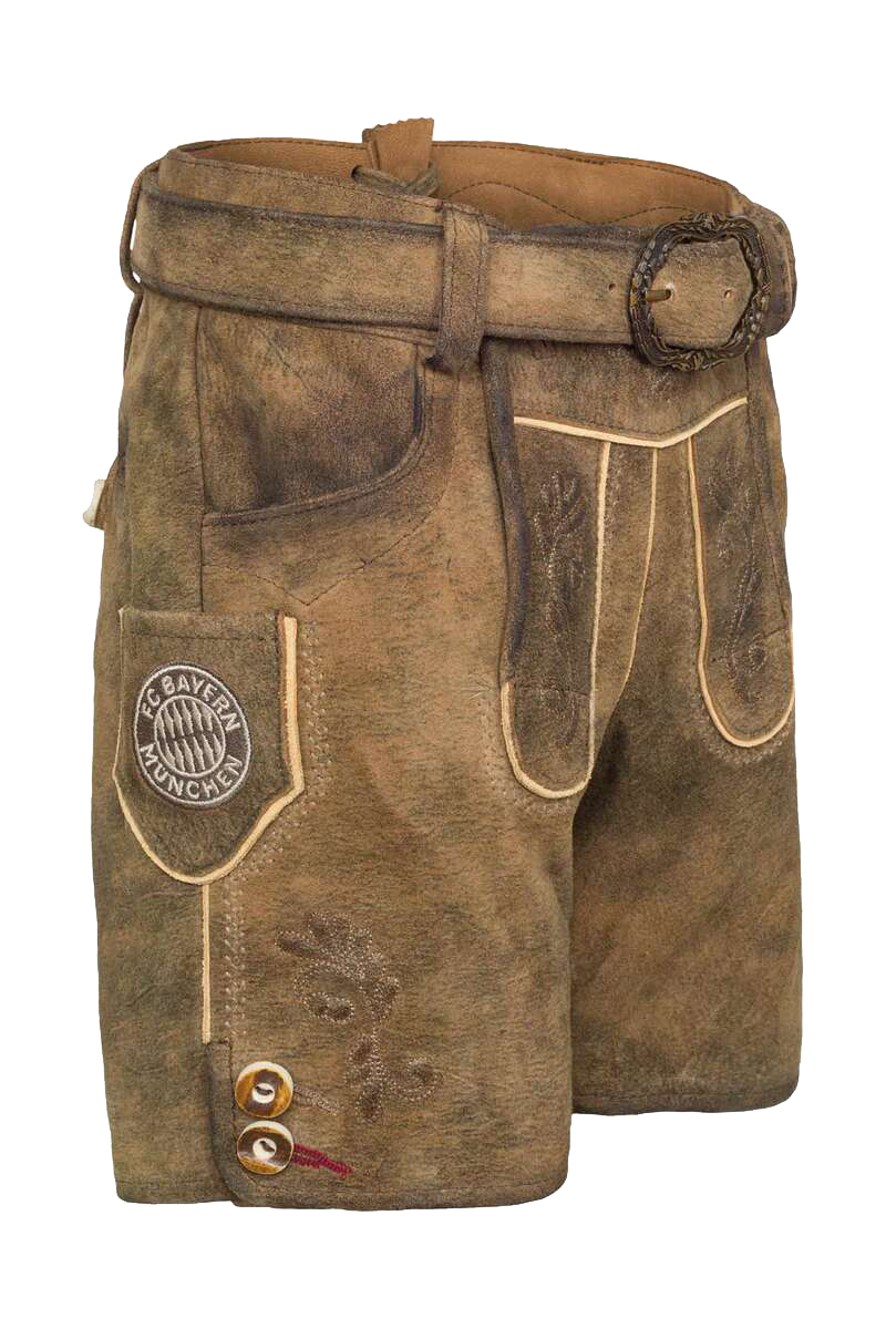 ZEDER/STEIN