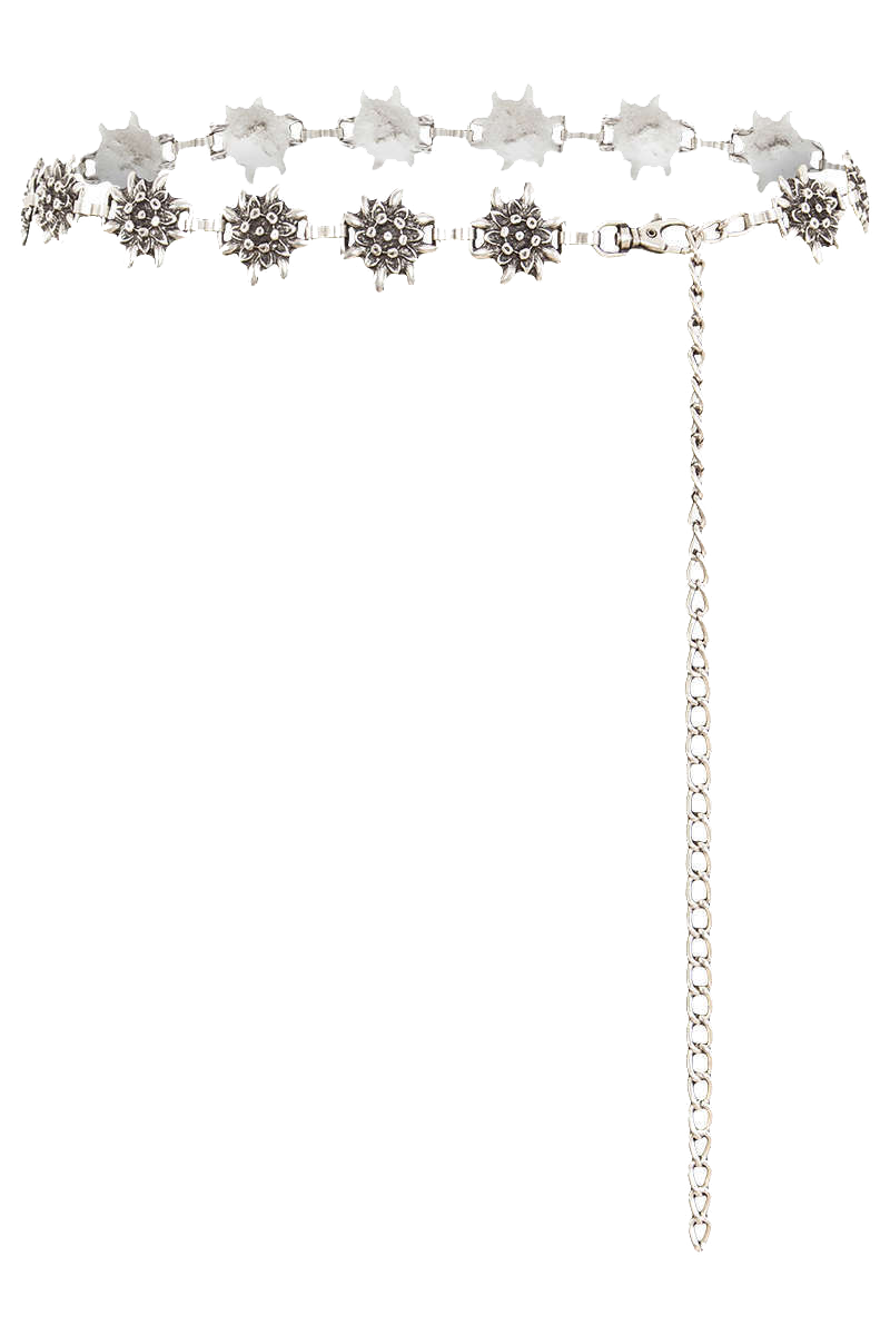SILBER