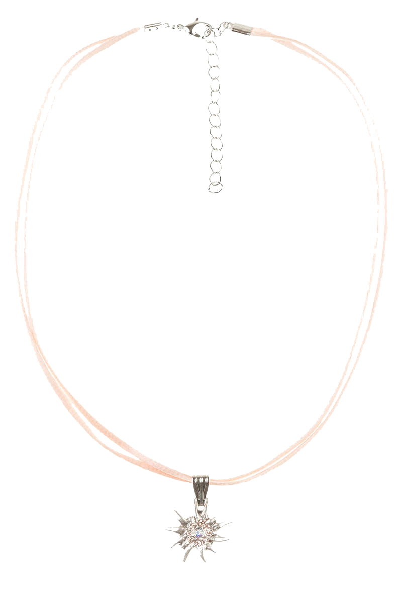 11-APRICOT