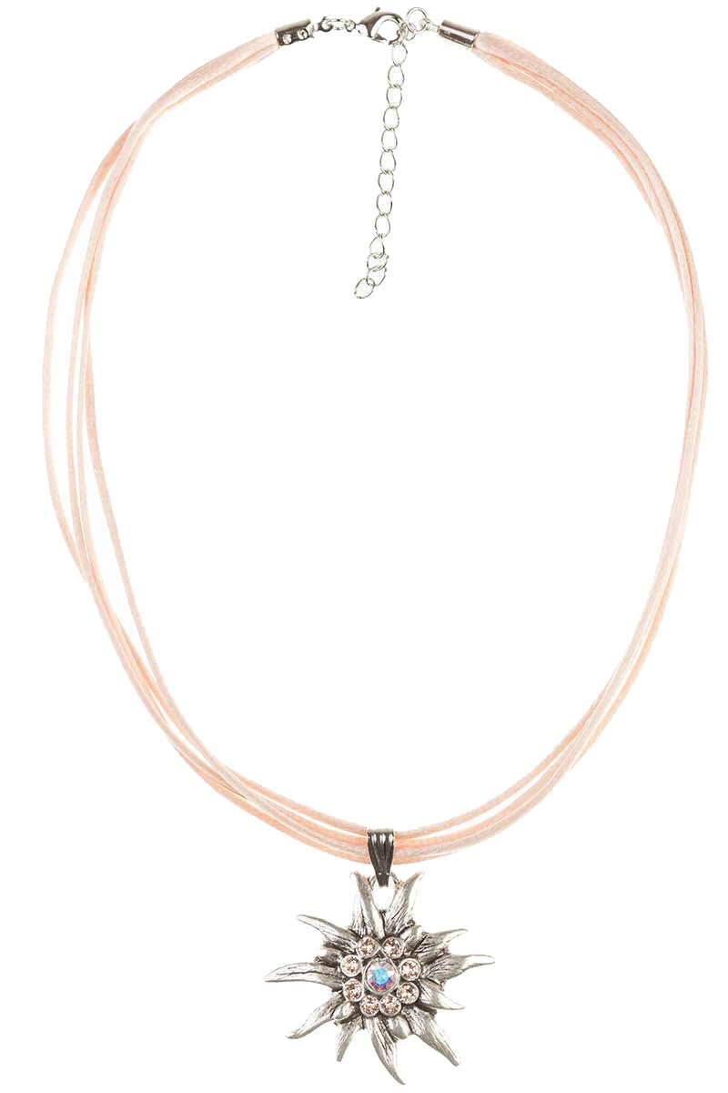 11-APRICOT