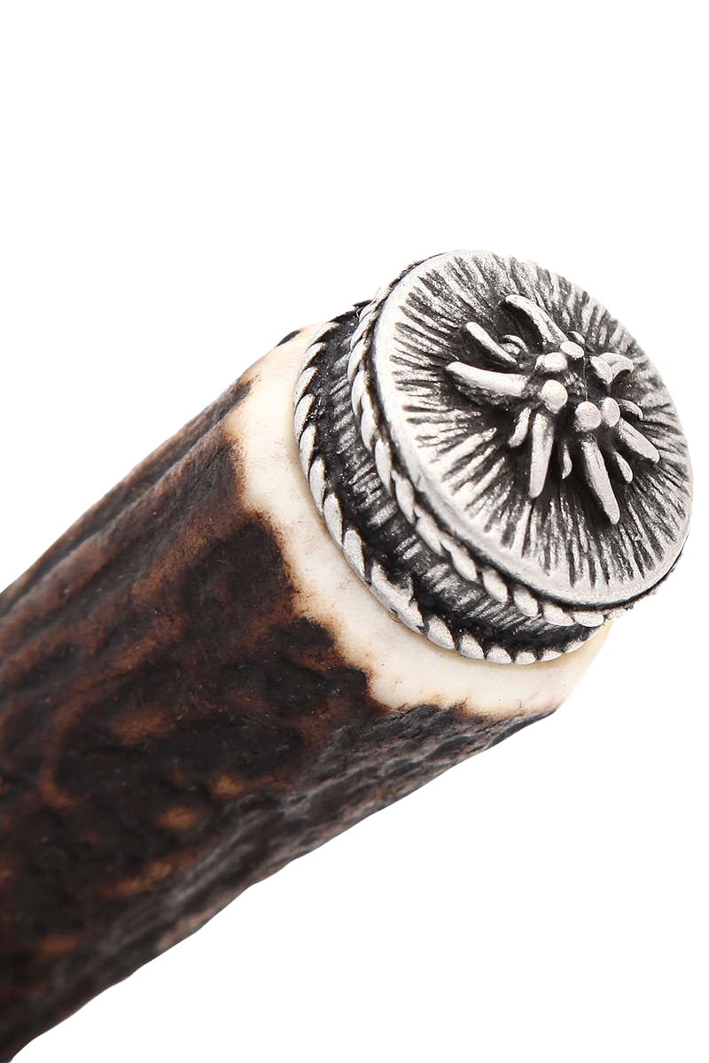 BRAUN