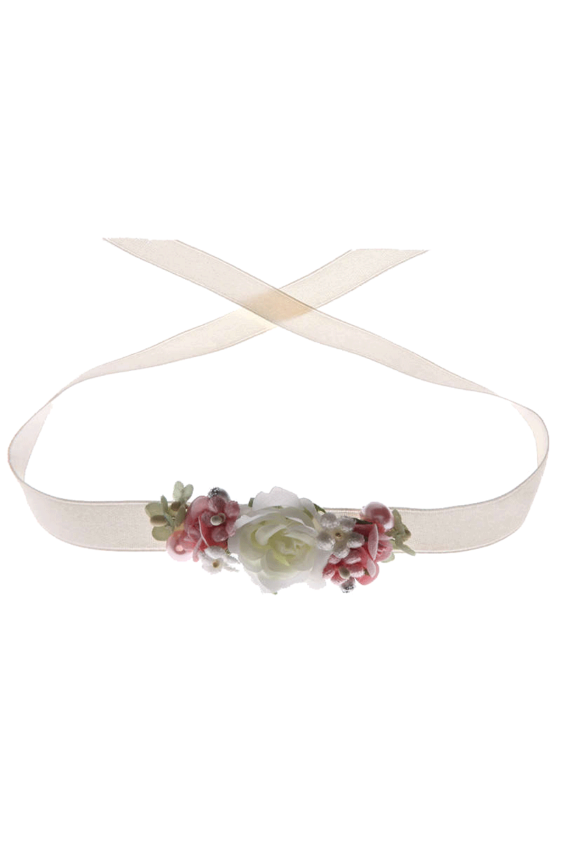 441-ROSA/CREME